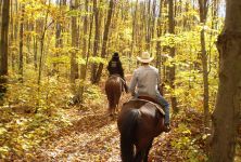 Hipoterapie - léčba jízdou na koni